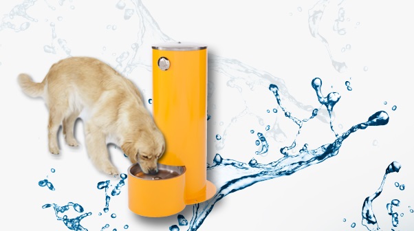 dog fountain