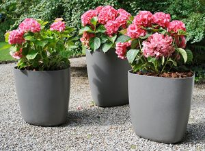 Eternit Molded Concrete Planter 2