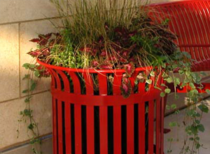 Thomas Steele Planters 3