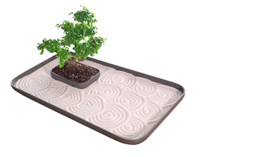 Zen-Garden