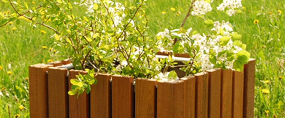 Thomas Steele Planters